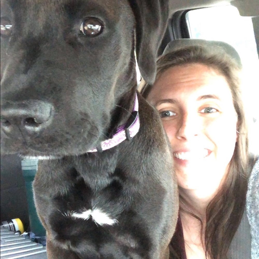 Meet your Posher, Alexis